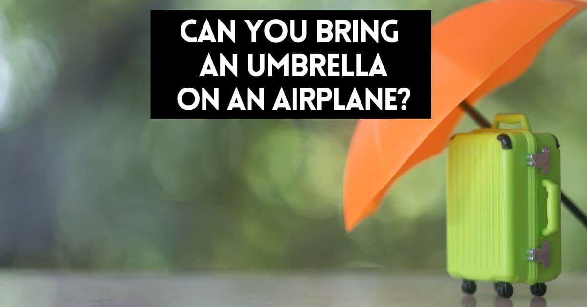 cover image for article about, can you bring an umbrella on an airplane