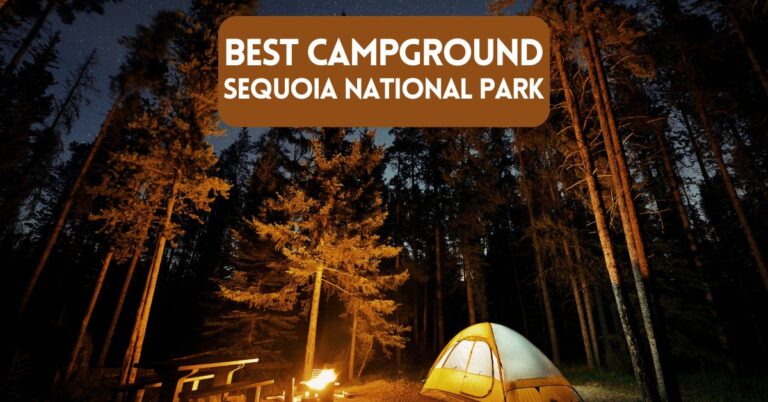 Cover image for blog post about the best campground in Sequoia National Park