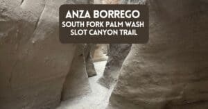 Cover image for blog post about South Fork Palm Wash Canyon Trail at Anza Borrego