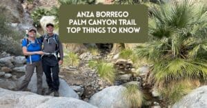Cover image for blog post about Anza borrego palm canyon trail