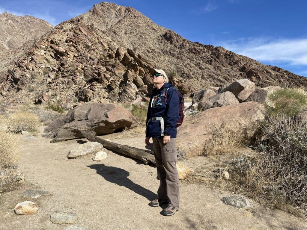 Julie of The Places Where We go on the Borrego Palm Oasis Trail in Anza Borrego Desert State Park looking at the landscape