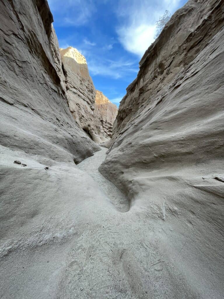South Fork Palm Wash Canyon trail