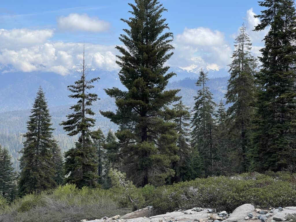 roadside pullover for Kings Canyon Overlook - Sequoia National Park