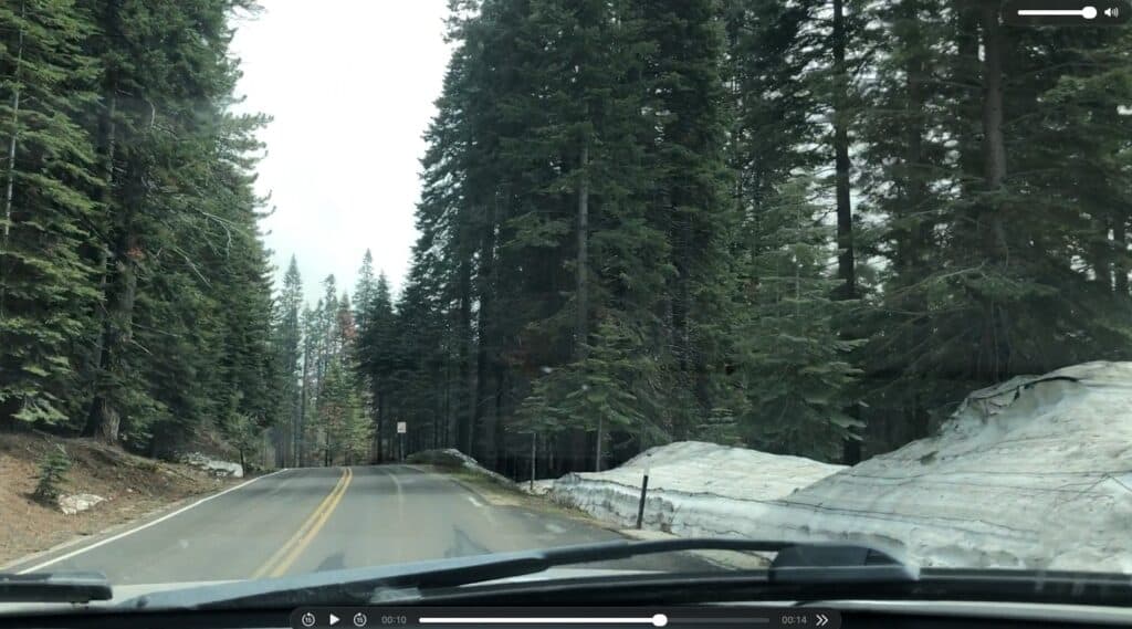 view of road in Sequoia National Park